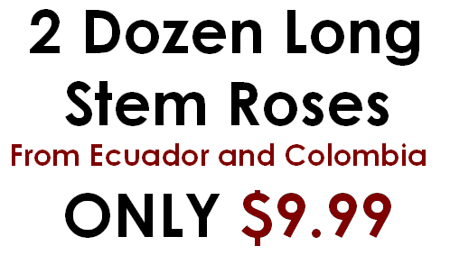 Wholesale Flowers and Supplies