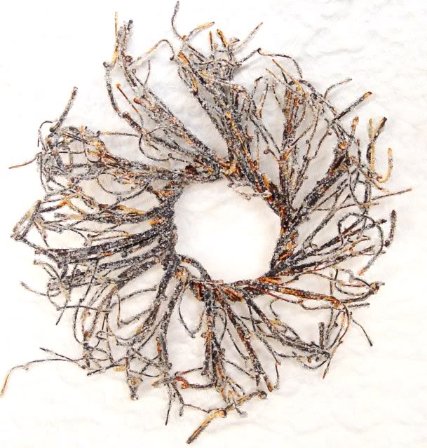 Iced Branches